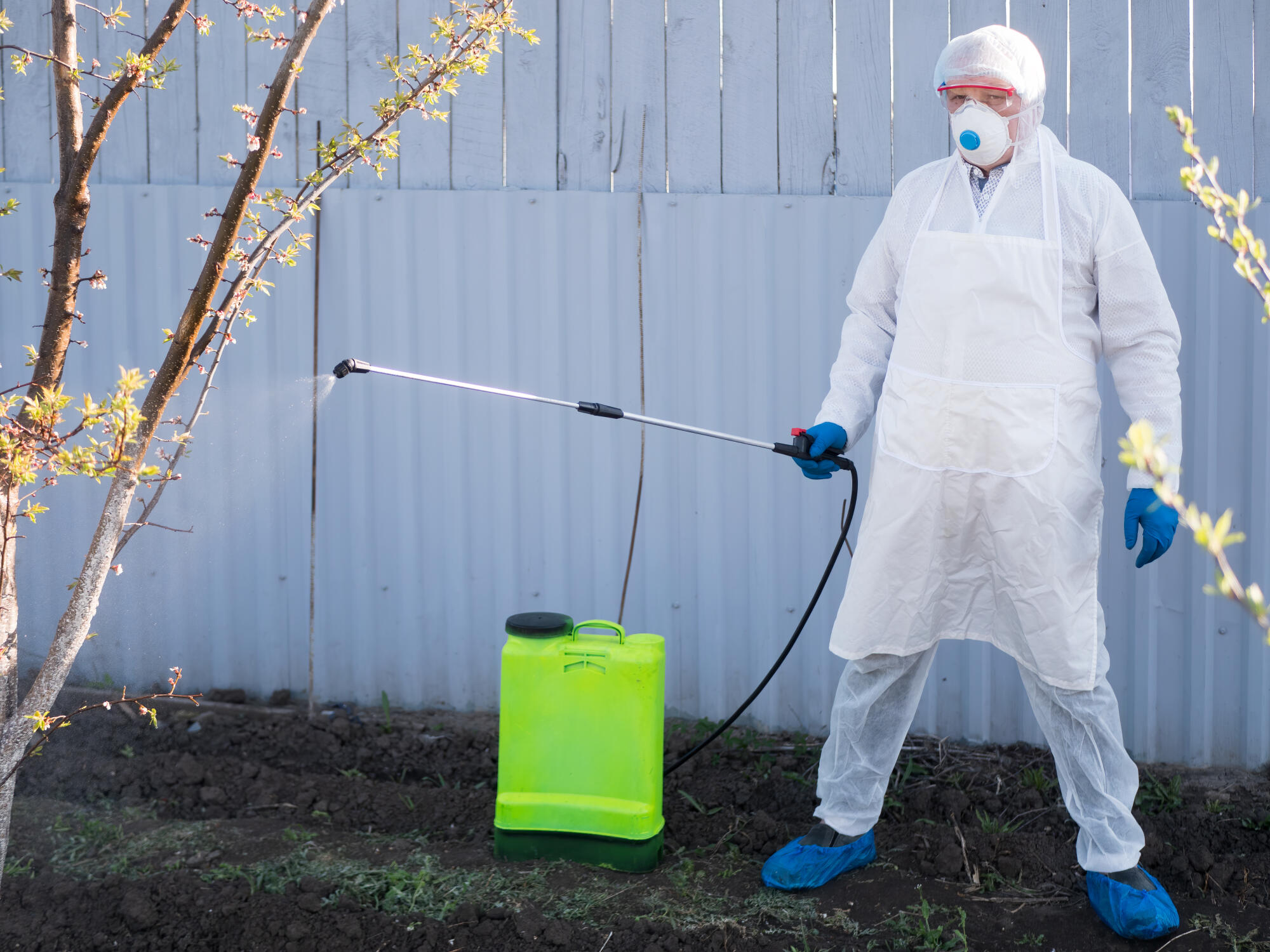 When to Call Pest Control Specialists